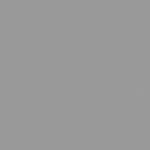 Signal Grey Pfleiderer U12248 SD